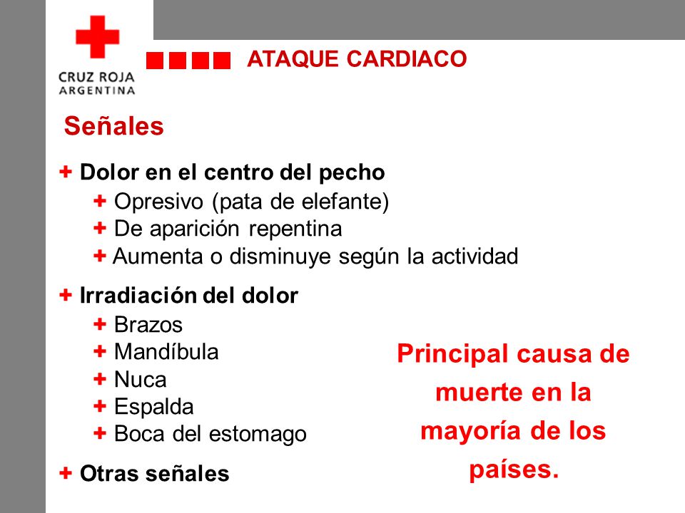 El centro del pecho